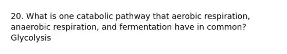 20. What is one catabolic pathway that aerobic respiration, anaerobic respiration, and fermentation have in common? Glycolysis