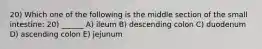 20) Which one of the following is the middle section of the small intestine: 20) ______ A) ileum B) descending colon C) duodenum D) ascending colon E) jejunum