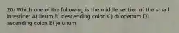 20) Which one of the following is the middle section of the small intestine: A) ileum B) descending colon C) duodenum D) ascending colon E) jejunum