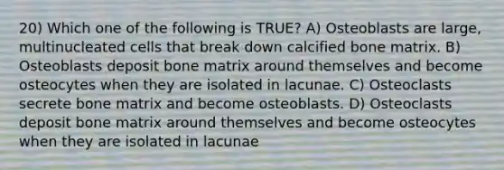 20) Which one of the following is TRUE? A) Osteoblasts are large, multinucleated cells that break down calcified bone matrix. B) Osteoblasts deposit bone matrix around themselves and become osteocytes when they are isolated in lacunae. C) Osteoclasts secrete bone matrix and become osteoblasts. D) Osteoclasts deposit bone matrix around themselves and become osteocytes when they are isolated in lacunae