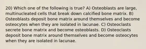 20) Which one of the following is true? A) Osteoblasts are large, multinucleated cells that break down calcified bone matrix. B) Osteoblasts deposit bone matrix around themselves and become osteocytes when they are isolated in lacunae. C) Osteoclasts secrete bone matrix and become osteoblasts. D) Osteoclasts deposit bone matrix around themselves and become osteocytes when they are isolated in lacunae.