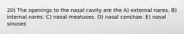 20) The openings to the nasal cavity are the A) external nares. B) internal nares. C) nasal meatuses. D) nasal conchae. E) nasal sinuses