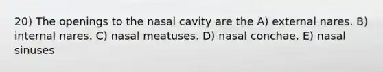 20) The openings to the nasal cavity are the A) external nares. B) internal nares. C) nasal meatuses. D) nasal conchae. E) nasal sinuses