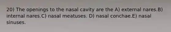 20) The openings to the nasal cavity are the A) external nares.B) internal nares.C) nasal meatuses. D) nasal conchae.E) nasal sinuses.