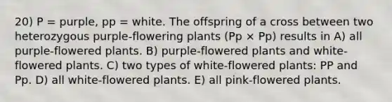 20) P = purple, pp = white. The offspring of a cross between two heterozygous purple-flowering plants (Pp × Pp) results in A) all purple-flowered plants. B) purple-flowered plants and white-flowered plants. C) two types of white-flowered plants: PP and Pp. D) all white-flowered plants. E) all pink-flowered plants.