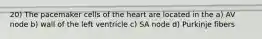 20) The pacemaker cells of the heart are located in the a) AV node b) wall of the left ventricle c) SA node d) Purkinje fibers