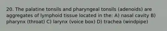 20. The palatine tonsils and pharyngeal tonsils (adenoids) are aggregates of lymphoid tissue located in the: A) nasal cavity B) pharynx (throat) C) larynx (voice box) D) trachea (windpipe)