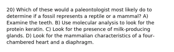 20) Which of these would a paleontologist most likely do to determine if a fossil represents a reptile or a mammal? A) Examine the teeth. B) Use molecular analysis to look for the protein keratin. C) Look for the presence of milk‐producing glands. D) Look for the mammalian characteristics of a four‐chambered heart and a diaphragm.