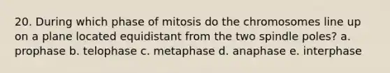 20. During which phase of mitosis do the chromosomes line up on a plane located equidistant from the two spindle poles? a. prophase b. telophase c. metaphase d. anaphase e. interphase