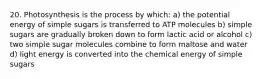 20. Photosynthesis is the process by which: a) the potential energy of simple sugars is transferred to ATP molecules b) simple sugars are gradually broken down to form lactic acid or alcohol c) two simple sugar molecules combine to form maltose and water d) light energy is converted into the chemical energy of simple sugars