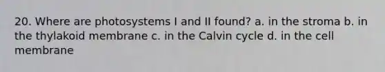 20. Where are photosystems I and II found? a. in the stroma b. in the thylakoid membrane c. in the Calvin cycle d. in the cell membrane