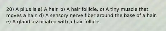 20) A pilus is a) A hair. b) A hair follicle. c) A tiny muscle that moves a hair. d) A sensory nerve fiber around the base of a hair. e) A gland associated with a hair follicle.