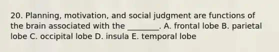 20. Planning, motivation, and social judgment are functions of the brain associated with the ________. A. frontal lobe B. parietal lobe C. occipital lobe D. insula E. temporal lobe