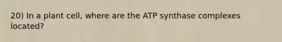 20) In a plant cell, where are the ATP synthase complexes located?