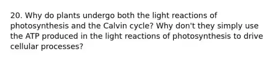 20. Why do plants undergo both the light reactions of photosynthesis and the Calvin cycle? Why don't they simply use the ATP produced in the light reactions of photosynthesis to drive cellular processes?