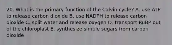 20. What is the primary function of the Calvin cycle? A. use ATP to release carbon dioxide B. use NADPH to release carbon dioxide C. split water and release oxygen D. transport RuBP out of the chloroplast E. synthesize simple sugars from carbon dioxide