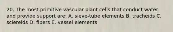 20. The most primitive vascular plant cells that conduct water and provide support are: A. sieve-tube elements B. tracheids C. sclereids D. fibers E. vessel elements