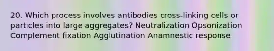 20. Which process involves antibodies cross-linking cells or particles into large aggregates? Neutralization Opsonization Complement fixation Agglutination Anamnestic response