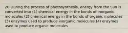 20 During the process of photosynthesis, energy from the Sun is converted into (1) chemical energy in the bonds of inorganic molecules (2) chemical energy in the bonds of organic molecules (3) enzymes used to produce inorganic molecules (4) enzymes used to produce organic molecules