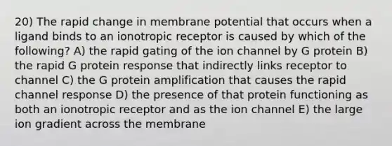 20) The rapid change in membrane potential that occurs when a ligand binds to an ionotropic receptor is caused by which of the following? A) the rapid gating of the ion channel by G protein B) the rapid G protein response that indirectly links receptor to channel C) the G protein amplification that causes the rapid channel response D) the presence of that protein functioning as both an ionotropic receptor and as the ion channel E) the large ion gradient across the membrane