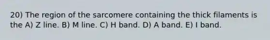 20) The region of the sarcomere containing the thick filaments is the A) Z line. B) M line. C) H band. D) A band. E) I band.