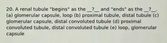 20. A renal tubule "begins" as the __?__ and "ends" as the __?__. (a) glomerular capsule, loop (b) proximal tubule, distal tubule (c) glomerular capsule, distal convoluted tubule (d) proximal convoluted tubule, distal convoluted tubule (e) loop, glomerular capsule