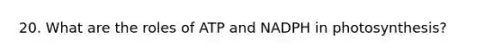 20. What are the roles of ATP and NADPH in photosynthesis?