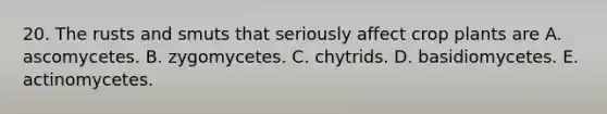 20. The rusts and smuts that seriously affect crop plants are A. ascomycetes. B. zygomycetes. C. chytrids. D. basidiomycetes. E. actinomycetes.