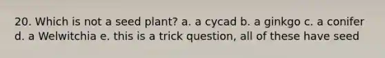 20. Which is not a seed plant? a. a cycad b. a ginkgo c. a conifer d. a Welwitchia e. this is a trick question, all of these have seed