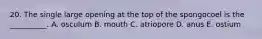 20. The single large opening at the top of the spongocoel is the __________. A. osculum B. mouth C. atriopore D. anus E. ostium