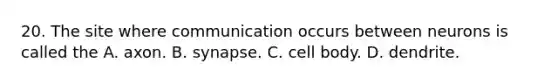 20. The site where communication occurs between neurons is called the A. axon. B. synapse. C. cell body. D. dendrite.