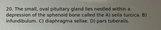 20. The small, oval pituitary gland lies nestled within a depression of the sphenoid bone called the A) sella turcica. B) infundibulum. C) diaphragma sellae. D) pars tuberalis.