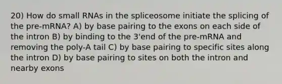 20) How do small RNAs in the spliceosome initiate the splicing of the pre-mRNA? A) by base pairing to the exons on each side of the intron B) by binding to the 3'end of the pre-mRNA and removing the poly-A tail C) by base pairing to specific sites along the intron D) by base pairing to sites on both the intron and nearby exons