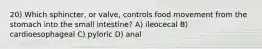 20) Which sphincter, or valve, controls food movement from the stomach into the small intestine? A) ileocecal B) cardioesophageal C) pyloric D) anal