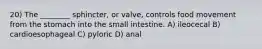 20) The ________ sphincter, or valve, controls food movement from the stomach into the small intestine. A) ileocecal B) cardioesophageal C) pyloric D) anal