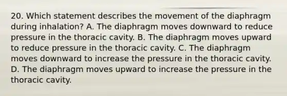 20. Which statement describes the movement of the diaphragm during inhalation? A. The diaphragm moves downward to reduce pressure in the thoracic cavity. B. The diaphragm moves upward to reduce pressure in the thoracic cavity. C. The diaphragm moves downward to increase the pressure in the thoracic cavity. D. The diaphragm moves upward to increase the pressure in the thoracic cavity.