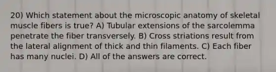 20) Which statement about the microscopic anatomy of skeletal muscle fibers is true? A) Tubular extensions of the sarcolemma penetrate the fiber transversely. B) Cross striations result from the lateral alignment of thick and thin filaments. C) Each fiber has many nuclei. D) All of the answers are correct.