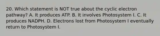 20. Which statement is NOT true about the cyclic electron pathway? A. It produces ATP. B. It involves Photosystem I. C. It produces NADPH. D. Electrons lost from Photosystem I eventually return to Photosystem I.