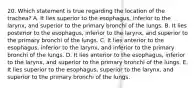 20. Which statement is true regarding the location of the trachea? A. It lies superior to the esophagus, inferior to the larynx, and superior to the primary bronchi of the lungs. B. It lies posterior to the esophagus, inferior to the larynx, and superior to the primary bronchi of the lungs. C. It lies anterior to the esophagus, inferior to the larynx, and inferior to the primary bronchi of the lungs. D. It lies anterior to the esophagus, inferior to the larynx, and superior to the primary bronchi of the lungs. E. It lies superior to the esophagus, superior to the larynx, and superior to the primary bronchi of the lungs.