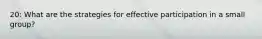 20: What are the strategies for effective participation in a small group?