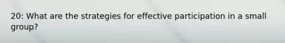 20: What are the strategies for effective participation in a small group?