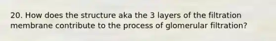 20. How does the structure aka the 3 layers of the filtration membrane contribute to the process of glomerular filtration?