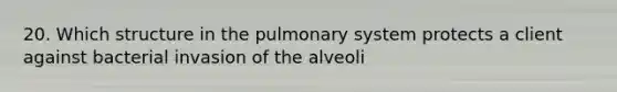 20. Which structure in the pulmonary system protects a client against bacterial invasion of the alveoli