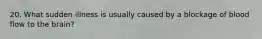 20. What sudden illness is usually caused by a blockage of blood flow to the brain?