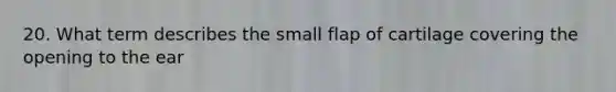 20. What term describes the small flap of cartilage covering the opening to the ear