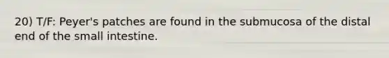 20) T/F: Peyer's patches are found in the submucosa of the distal end of the small intestine.