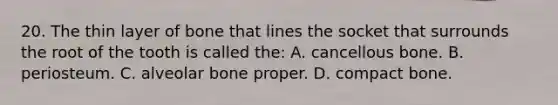 20. The thin layer of bone that lines the socket that surrounds the root of the tooth is called the: A. cancellous bone. B. periosteum. C. alveolar bone proper. D. compact bone.