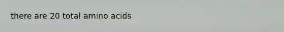 there are 20 total amino acids