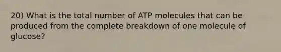 20) What is the total number of ATP molecules that can be produced from the complete breakdown of one molecule of glucose?