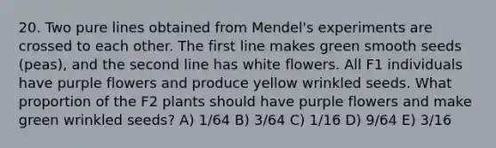 20. Two pure lines obtained from Mendel's experiments are crossed to each other. The first line makes green smooth seeds (peas), and the second line has white flowers. All F1 individuals have purple flowers and produce yellow wrinkled seeds. What proportion of the F2 plants should have purple flowers and make green wrinkled seeds? A) 1/64 B) 3/64 C) 1/16 D) 9/64 E) 3/16